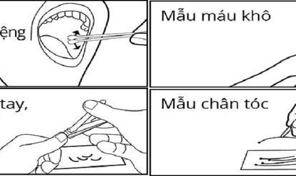 Hướng dẫn thu mẫu ADN-2